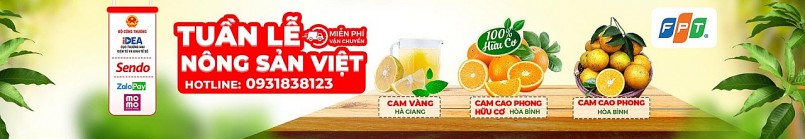 Thông tin chương trình Tuần lễ Cam Thông tin chương trình Tuần lễ Cam