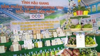 Hậu Giang công nhận 19 sản phẩm OCOP cấp tỉnh