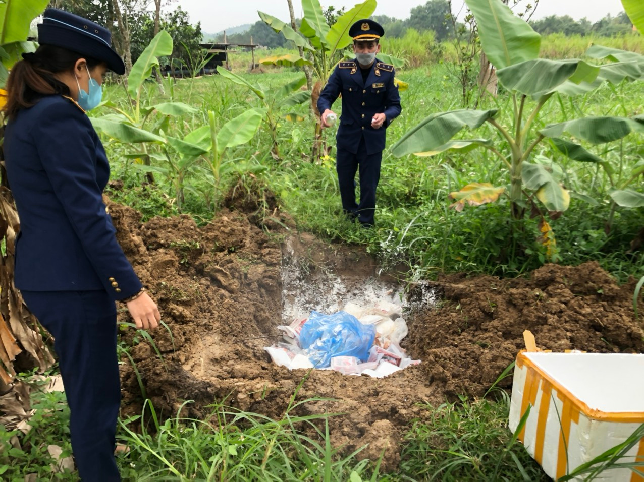 Nghệ An: Tiêu huỷ 115 kg thịt lợn và thịt bò đã bốc mùi hôi thối