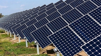 Tập đoàn năng lượng hàng đầu của Pháp đầu tư vào điện mặt trời ở Việt Nam