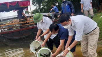 Nghệ An thả hơn 2 tấn cá giống tái tạo và phát triển nguồn lợi thủy sản