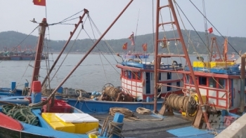 Thủy sản Nghệ An đối diện nhiều khó khăn, thách thức