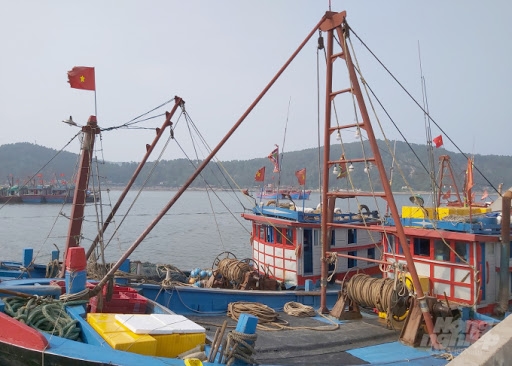 Thủy sản Nghệ An đối diện nhiều khó khăn, thách thức