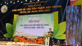 Khai mạc Hội chợ cam, bưởi và các sản phẩm đặc trưng huyện Lục Ngạn năm 2020
