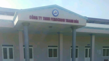 Thanh Hóa: Xử phạt 335 triệu đồng đối với Công ty TNHH Lionas Metals