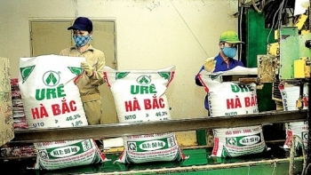 Quan ngại về khả năng hoạt động của Phân đạm và Hóa chất Hà Bắc