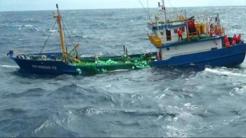 Trường hợp nào được miễn phí bảo đảm hàng hải đối với tàu, thuyền?