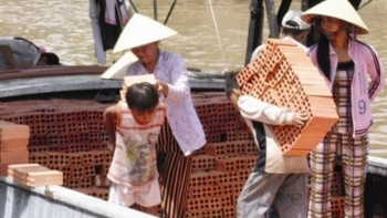 Hà Nội phấn đấu hạ tỷ lệ lao động trẻ em xuống dưới 1%