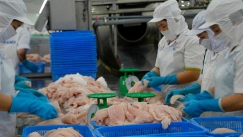 Một năm "vượt khó" của thủy sản Việt Nam