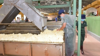 Xuất khẩu cao su Việt Nam sẽ đạt 3,5 tỷ USD trong năm 2022