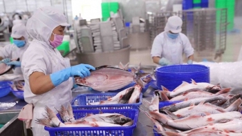 Vượt "bão" COVID-19, xuất khẩu thủy sản đạt trên 8,9 tỷ USD trong năm 2021
