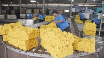 Việt Nam đứng vị trí thứ 2 cung cấp cao su cho Trung Quốc