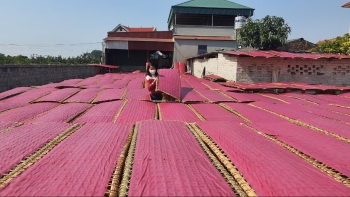 Làng nghề truyền thống mỳ gạo Thủ Dương tất bật phục vụ Tết Nguyên đán