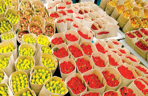 Xuất khẩu hoa Việt Nam sang Úc được nối lại từ ngày 01/3/2022