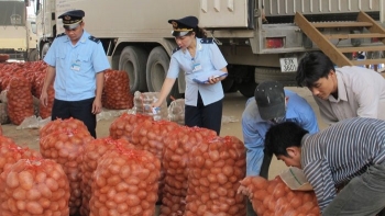 Thương mại song phương Việt Nam - Trung Quốc tăng trưởng mạnh