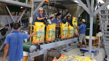 Thương mại song phương Việt Nam - Nhật Bản cán mốc hơn 40 tỷ USD