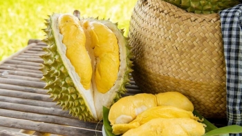 Nỗ lực đưa sầu riêng Việt Nam đi đường chính ngạch sang thị trường Trung Quốc