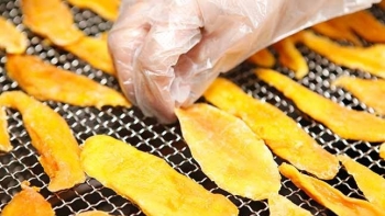 Thương mại song phương Việt Nam - Nga tăng trưởng mạnh