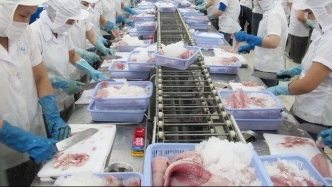 Việt Nam đứng vị trí thứ 2 cung cấp mực, bạch tuộc cho Hàn Quốc