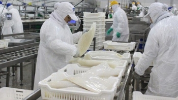 Xuất khẩu mực, bạch tuộc tăng trưởng mạnh trong tháng 1/2022