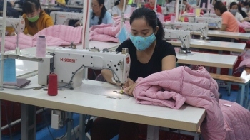 Thương mại giữa Việt Nam với Nga và Ukraine tăng trưởng nhẹ