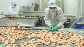 Xuất khẩu tôm đạt 313 triệu USD trong tháng 1/2022