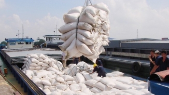 Xuất khẩu gạo ước đạt 400.000 tấn trong tháng 2/2022