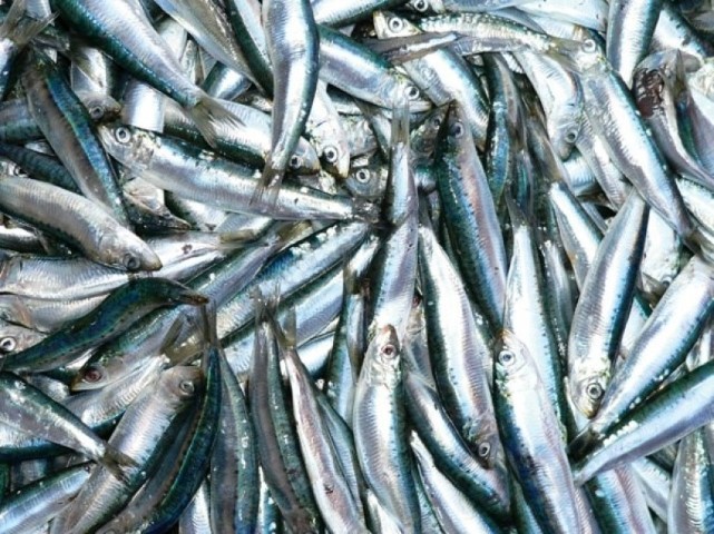 Sản xuất công nghiệp trong quý I/2022 tăng hơn 7% Sản xuất công nghiệp trong quý I/2022 tăng hơn 7%