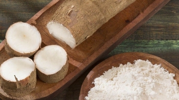 Xuất khẩu sắn và các sản phẩm từ sắn tăng đột biến