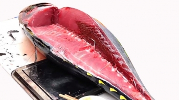 Việt Nam đứng vị trí thứ 5 cung cấp cá ngừ cho Đức