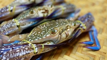 Xuất khẩu cua ghẹ tăng trưởng trở lại trong các tháng đầu năm