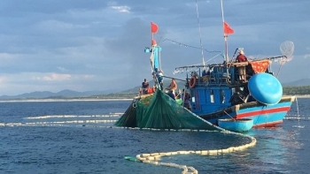 Kiên quyết ngăn chặn tình trạng vi phạm các quy định về chống khai thác IUU