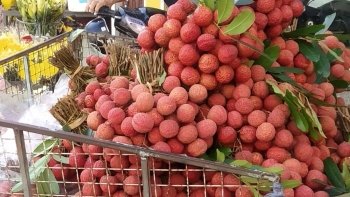 Lục Ngạn (Bắc Giang): Tiêu thụ vải thiều với mức giá ổn định