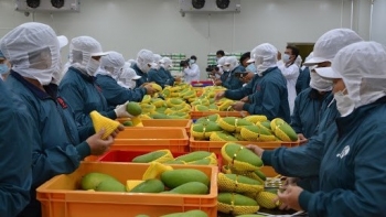 Trung Quốc đẩy mạnh nhập khẩu rau quả chế biến từ Việt Nam