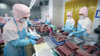 Xuất khẩu thủy sản sang Mỹ đạt gần 1,1 tỷ USD