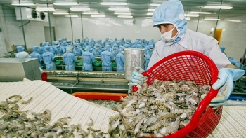 Xuất khẩu thủy sản sang EU tăng 45%