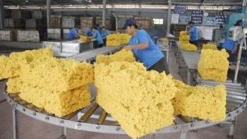 Việt Nam đứng vị trí thứ 11 cung cấp cao su cho Thổ Nhĩ Kỳ