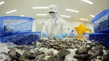 Xuất khẩu tôm sang EU đạt 338 triệu USD