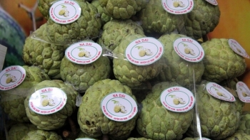 Lục Nam (Bắc Giang): Na, nhãn bước vào vụ thu hoạch