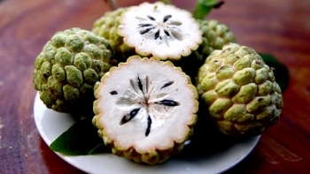 Công dụng làm đẹp từ quả na