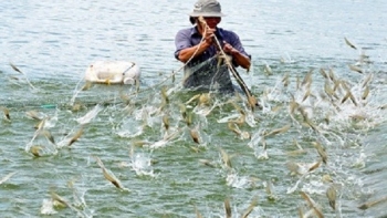 Hàng chục tấn nông, thủy sản ở Đồng Nai cần được "giải cứu"