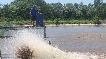 Hà Nội tiến hành rà soát mở rộng diện tích nuôi trồng thủy sản