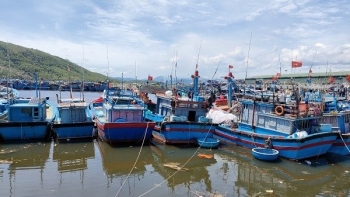 Quảng Ngãi mở cửa các cảng cá giúp ngư dân tiêu thụ hải sản