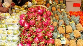 Xuất khẩu rau quả sang Hàn Quốc tăng