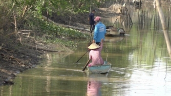 Đồng Tháp: Mùa nước nổi ảm đạm do dịch Covid-19