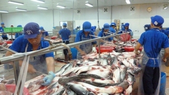 Xuất khẩu cá tra Việt Nam sang Mỹ thuận lợi về giá