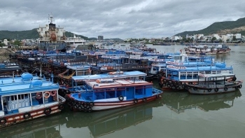 Khánh Hòa: Tạm dừng hoạt động trên biển để ứng phó với áp thấp nhiệt đới