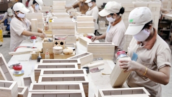 Xuất khẩu gỗ và các sản phẩm từ gỗ dự kiến đạt 14,5 tỷ USD