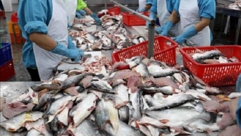 Mức giá thủy sản nguyên liệu tăng trở lại sau dịch Covid-19