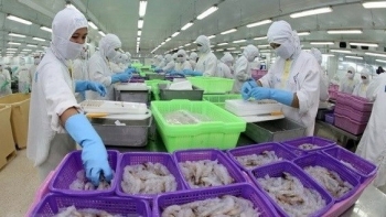 Xuất khẩu thủy sản Cà Mau tăng hơn 5% trong 10 tháng đầu năm 2021